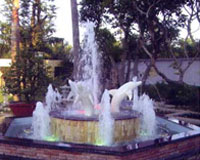 Click image to zoom image