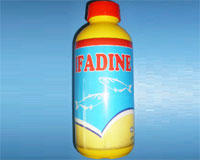 Click image to zoom image